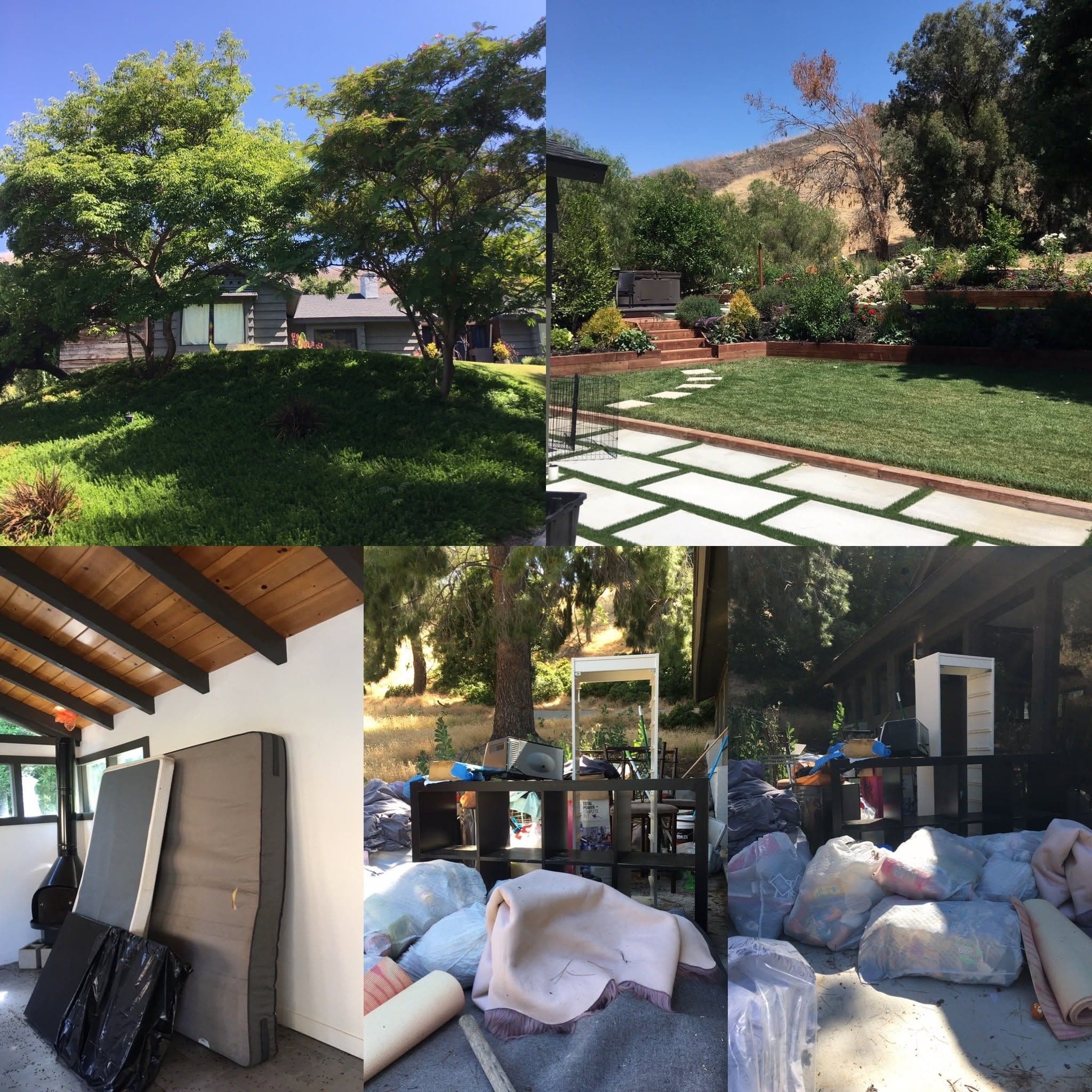Yard & green waste cleanup